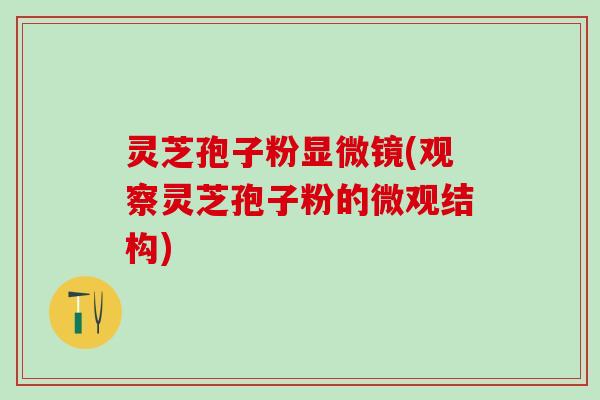 灵芝孢子粉显微镜(观察灵芝孢子粉的微观结构)
