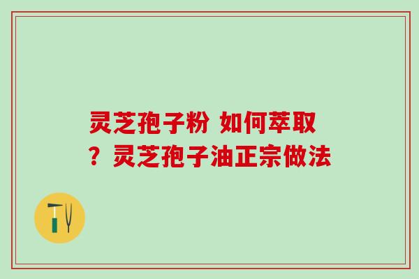 灵芝孢子粉 如何萃取？灵芝孢子油正宗做法