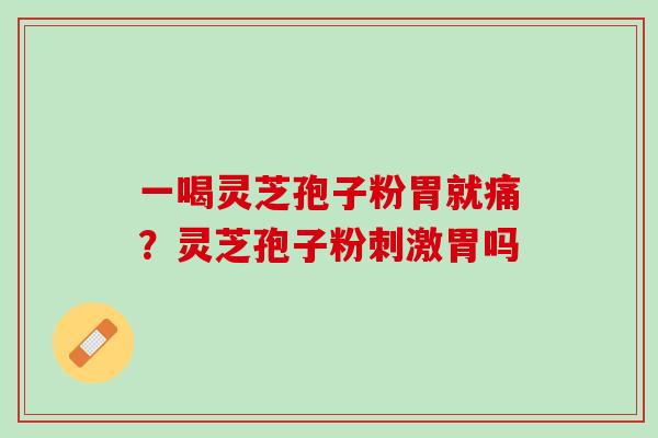 一喝灵芝孢子粉胃就痛？灵芝孢子粉刺激胃吗
