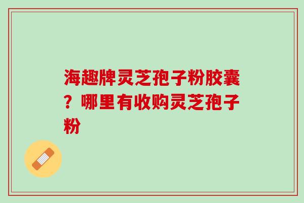 海趣牌灵芝孢子粉胶囊？哪里有收购灵芝孢子粉