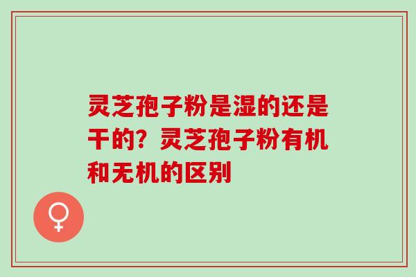 灵芝孢子粉是湿的还是干的？灵芝孢子粉有机和无机的区别