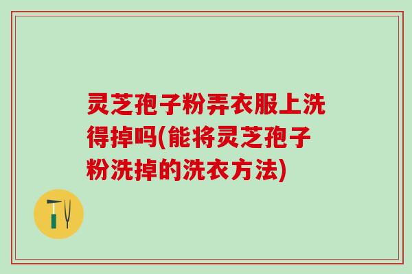 灵芝孢子粉弄衣服上洗得掉吗(能将灵芝孢子粉洗掉的洗衣方法)