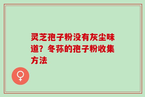 灵芝孢子粉没有灰尘味道？冬荪的孢子粉收集方法