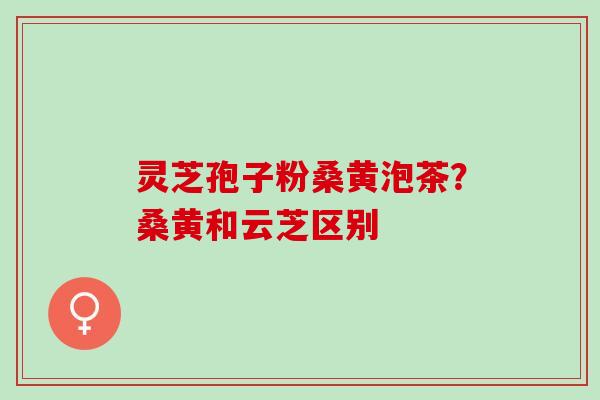 灵芝孢子粉桑黄泡茶？桑黄和云芝区别