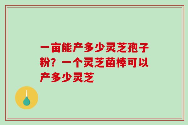 一亩能产多少灵芝孢子粉？一个灵芝菌棒可以产多少灵芝