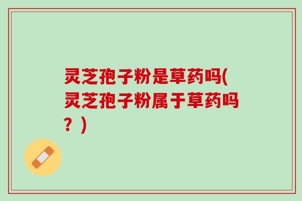 灵芝孢子粉是草药吗(灵芝孢子粉属于草药吗?) 灵芝孢子粉是草药吗(灵芝孢子粉属于草药吗?)
