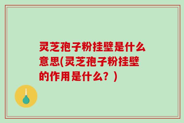 灵芝孢子粉挂壁是什么意思(灵芝孢子粉挂壁的作用是什么？)