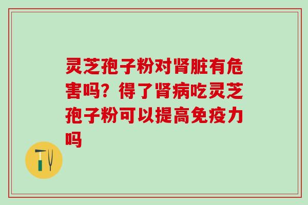 灵芝孢子粉对肾脏有危害吗？得了肾病吃灵芝孢子粉可以提高免疫力吗