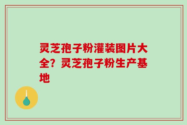 灵芝孢子粉灌装图片大全？灵芝孢子粉生产基地