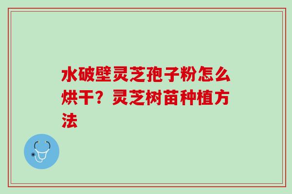 水破壁灵芝孢子粉怎么烘干？灵芝树苗种植方法