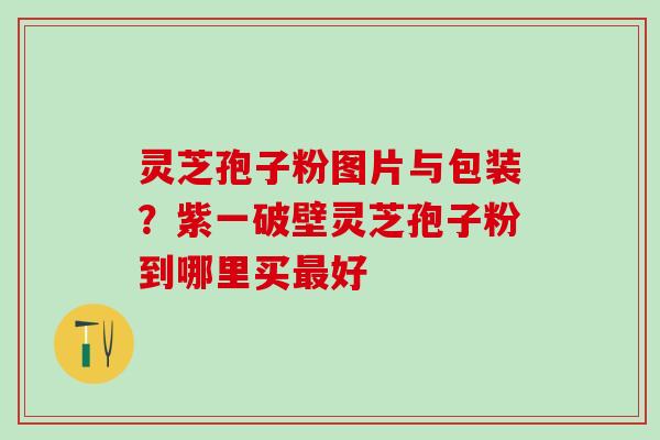 灵芝孢子粉图片与包装？紫一破壁灵芝孢子粉到哪里买最好