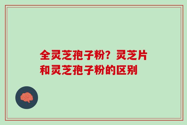 全灵芝孢子粉？灵芝片和灵芝孢子粉的区别