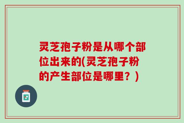 灵芝孢子粉是从哪个部位出来的(灵芝孢子粉的产生部位是哪里?) 灵芝孢子粉是从哪个部位出来的(灵芝孢子粉的产生部位是哪里?)