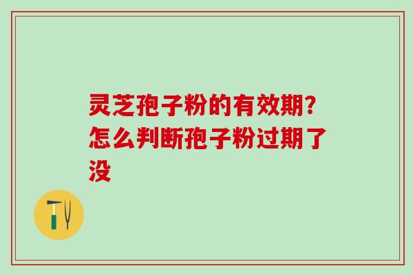 灵芝孢子粉的有效期？怎么判断孢子粉过期了没