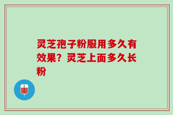 灵芝孢子粉服用多久有效果?灵芝上面多久长粉 灵芝孢子粉服用多久有效果?灵芝上面多久长粉