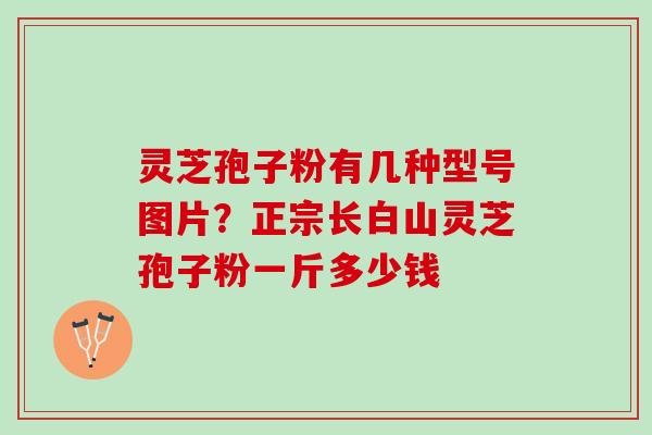 灵芝孢子粉有几种型号图片?正宗长白山灵芝孢子粉一斤多少钱 灵芝孢子粉有几种型号图片?正宗长白山灵芝孢子粉一斤多少钱