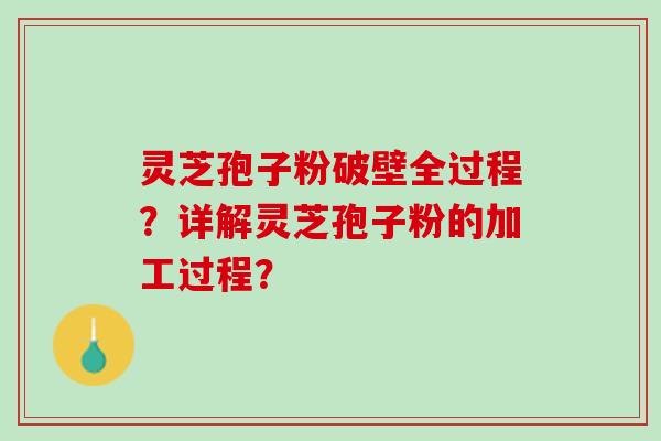 灵芝孢子粉破壁全过程？详解灵芝孢子粉的加工过程？