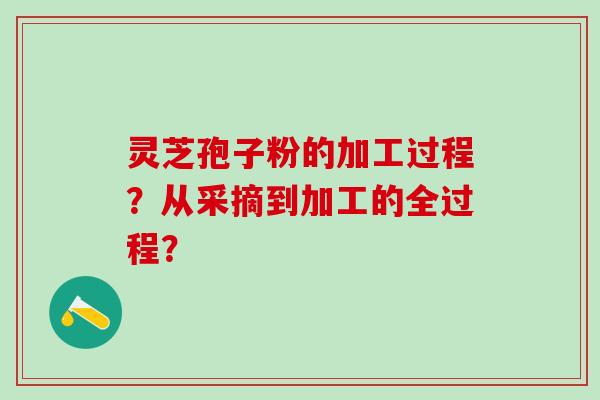 灵芝孢子粉的加工过程?从采摘到加工的全过程? 灵芝孢子粉的加工过程?从采摘到加工的全过程?