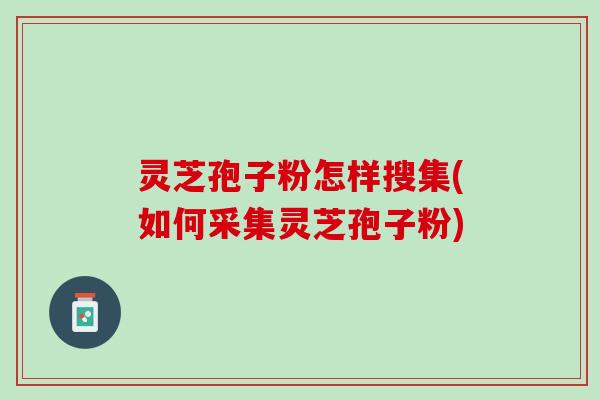 灵芝孢子粉怎样搜集(如何采集灵芝孢子粉)