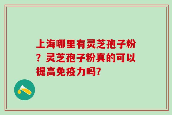 上海哪里有灵芝孢子粉？灵芝孢子粉真的可以提高免疫力吗？