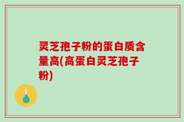 灵芝孢子粉的蛋白质含量高(高蛋白灵芝孢子粉) 灵芝孢子粉的蛋白质含量高(高蛋白灵芝孢子粉)