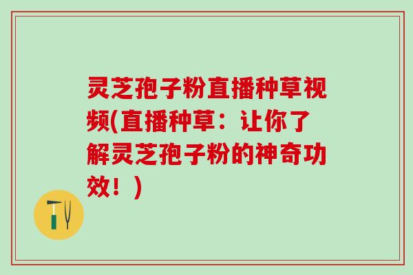 灵芝孢子粉直播种草视频(直播种草：让你了解灵芝孢子粉的神奇功效！)