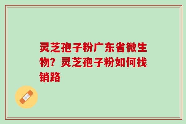 灵芝孢子粉广东省微生物？灵芝孢子粉如何找销路
