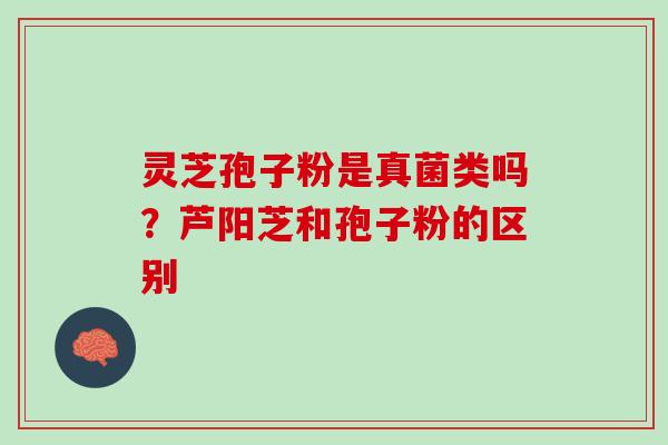 灵芝孢子粉是真菌类吗？芦阳芝和孢子粉的区别
