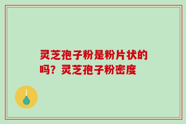灵芝孢子粉是粉片状的吗?灵芝孢子粉密度 灵芝孢子粉是粉片状的吗?灵芝孢子粉密度