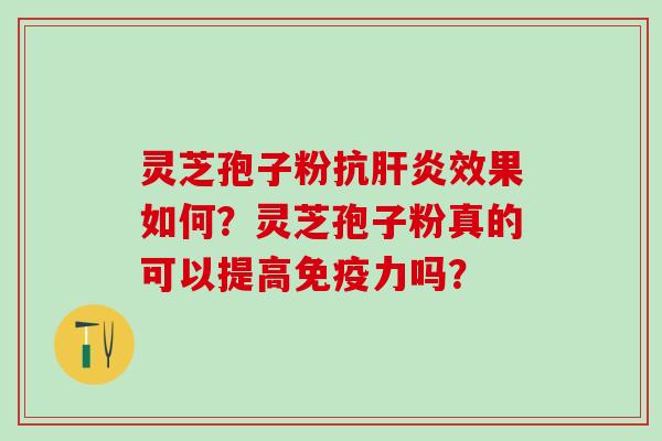 灵芝孢子粉抗效果如何?灵芝孢子粉真的可以提高免疫力吗? 灵芝孢子粉抗效果如何?灵芝孢子粉真的可以提高免疫力吗?