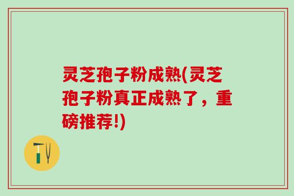 灵芝孢子粉成熟(灵芝孢子粉真正成熟了,重磅推荐!) 灵芝孢子粉成熟(灵芝孢子粉真正成熟了,重磅推荐!)