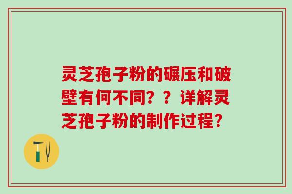 灵芝孢子粉的碾压和破壁有何不同？？详解灵芝孢子粉的制作过程？
