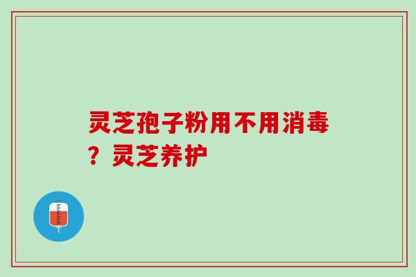 灵芝孢子粉用不用消毒？灵芝养护