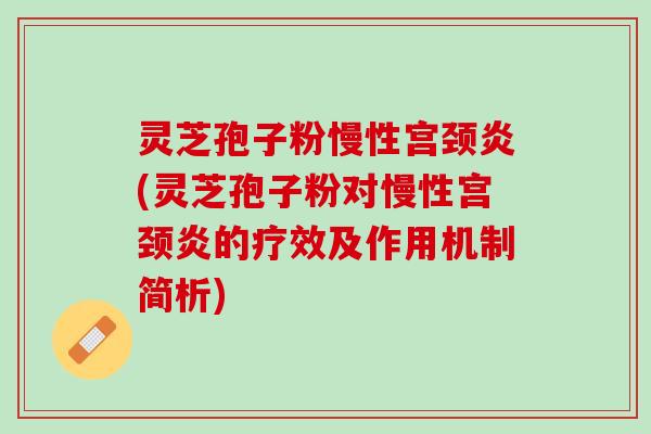 灵芝孢子粉慢性宫颈炎(灵芝孢子粉对慢性宫颈炎的疗效及作用机制简析)