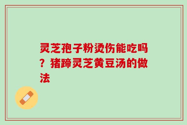 灵芝孢子粉烫伤能吃吗?猪蹄灵芝黄豆汤的做法 灵芝孢子粉烫伤能吃吗?猪蹄灵芝黄豆汤的做法