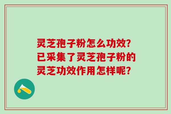 灵芝孢子粉怎么功效？已采集了灵芝孢子粉的灵芝功效作用怎样呢？