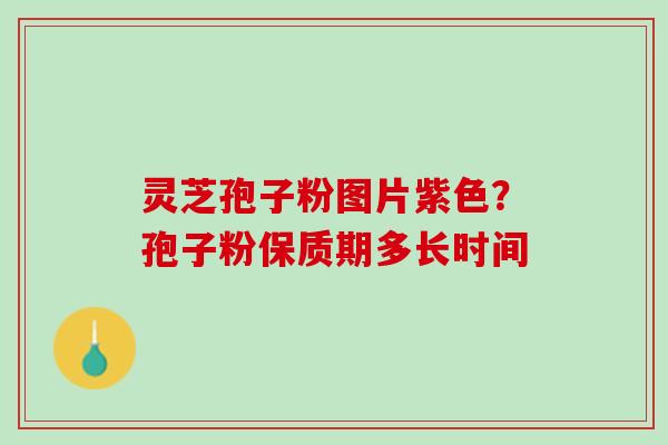灵芝孢子粉图片紫色?孢子粉保质期多长时间 灵芝孢子粉图片紫色?孢子粉保质期多长时间