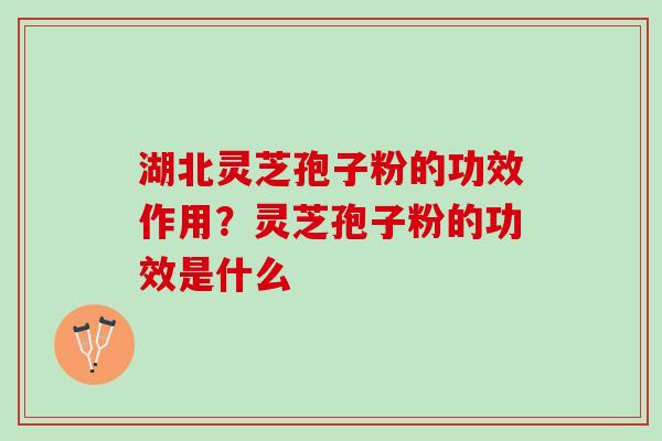 湖北灵芝孢子粉的功效作用?灵芝孢子粉的功效是什么 湖北灵芝孢子粉的功效作用?灵芝孢子粉的功效是什么