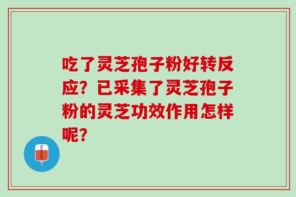 吃了灵芝孢子粉好转反应？已采集了灵芝孢子粉的灵芝功效作用怎样呢？