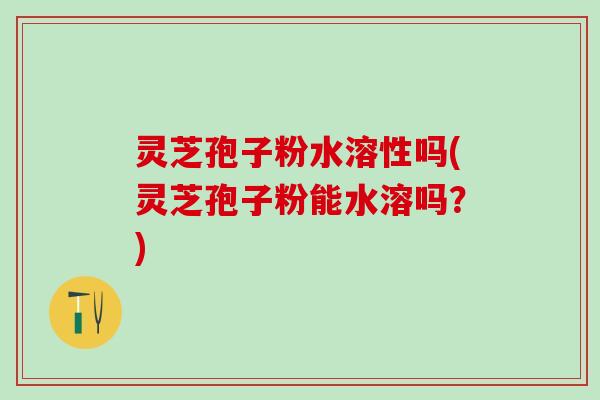 灵芝孢子粉水溶性吗(灵芝孢子粉能水溶吗？)