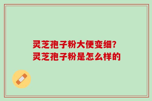 灵芝孢子粉大便变细?灵芝孢子粉是怎么样的 灵芝孢子粉大便变细?灵芝孢子粉是怎么样的