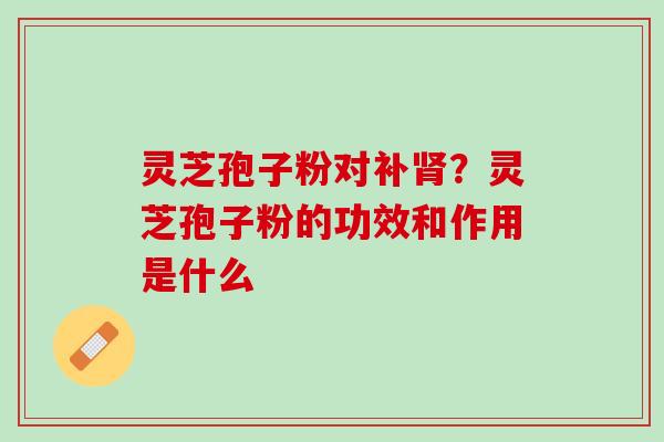 灵芝孢子粉对补肾？灵芝孢子粉的功效和作用是什么