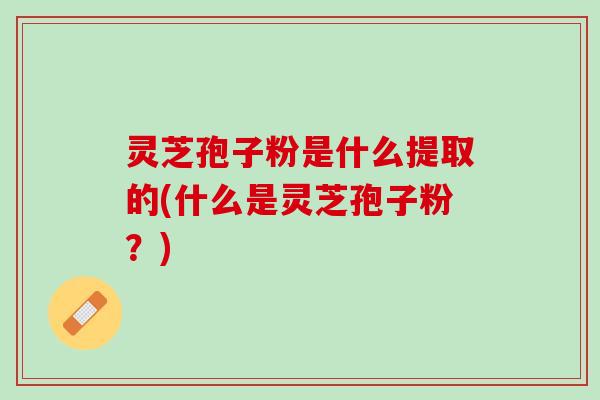 灵芝孢子粉是什么提取的(什么是灵芝孢子粉？)