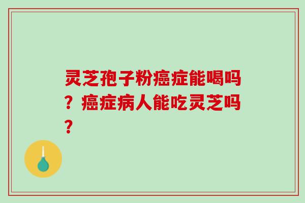 灵芝孢子粉症能喝吗?症人能吃灵芝吗? 灵芝孢子粉症能喝吗?症人能吃灵芝吗?