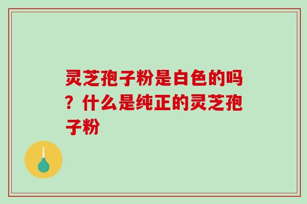 灵芝孢子粉是白色的吗？什么是纯正的灵芝孢子粉