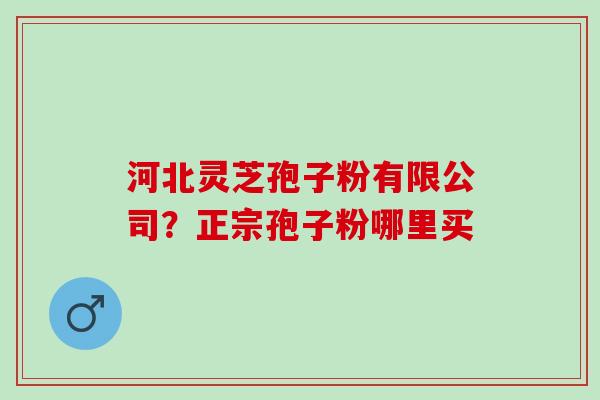 河北灵芝孢子粉有限公司?正宗孢子粉哪里买 河北灵芝孢子粉有限公司?正宗孢子粉哪里买