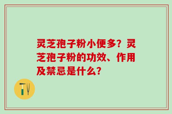灵芝孢子粉小便多？灵芝孢子粉的功效、作用及禁忌是什么？