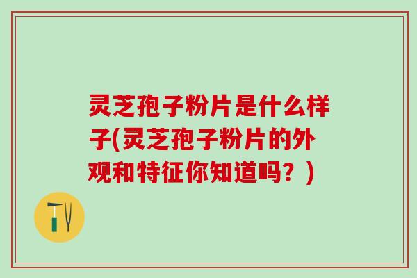灵芝孢子粉片是什么样子(灵芝孢子粉片的外观和特征你知道吗？)