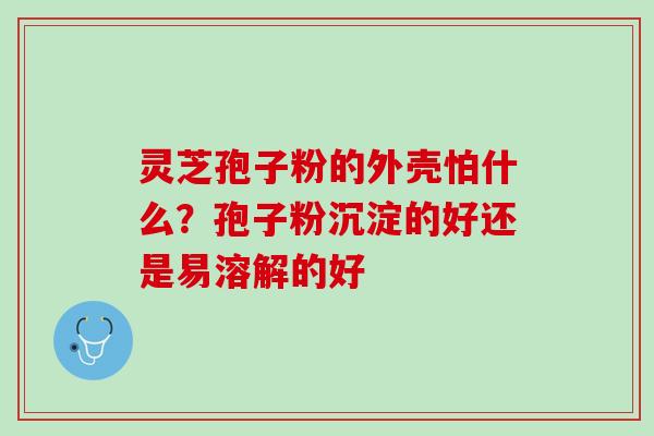 灵芝孢子粉的外壳怕什么？孢子粉沉淀的好还是易溶解的好