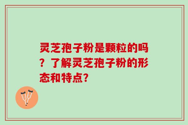 灵芝孢子粉是颗粒的吗？了解灵芝孢子粉的形态和特点？